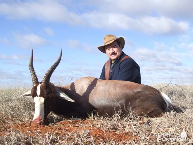 South Africa Blesbok Hunt