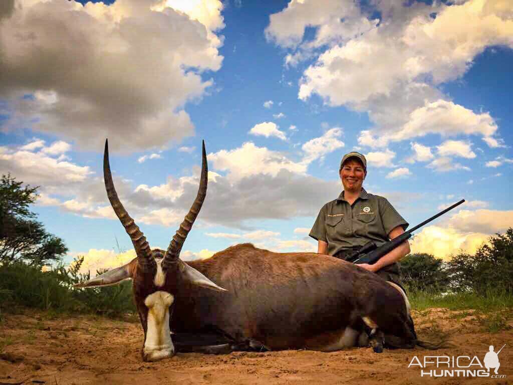 South Africa Blesbok Hunting