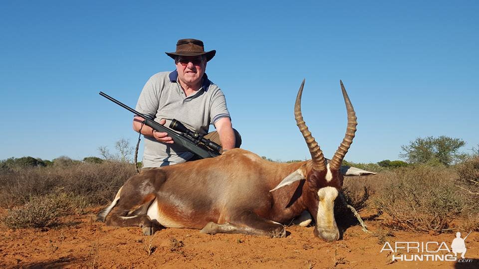 South Africa Blesbuck Hunt