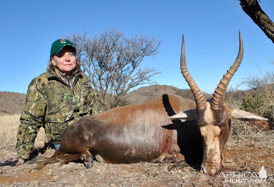 South Africa Blesbuck Hunt