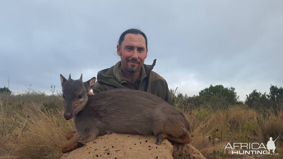 South Africa Blue Duiker Hunt