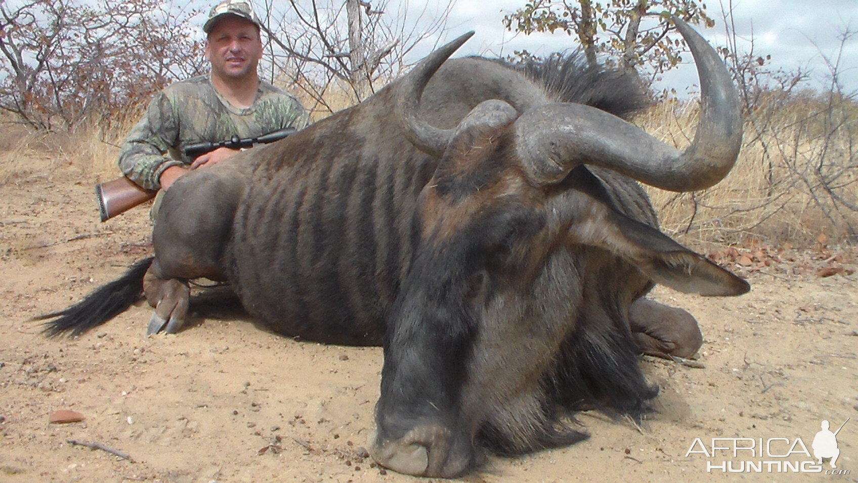 South Africa Blue Wildebeest Hunting