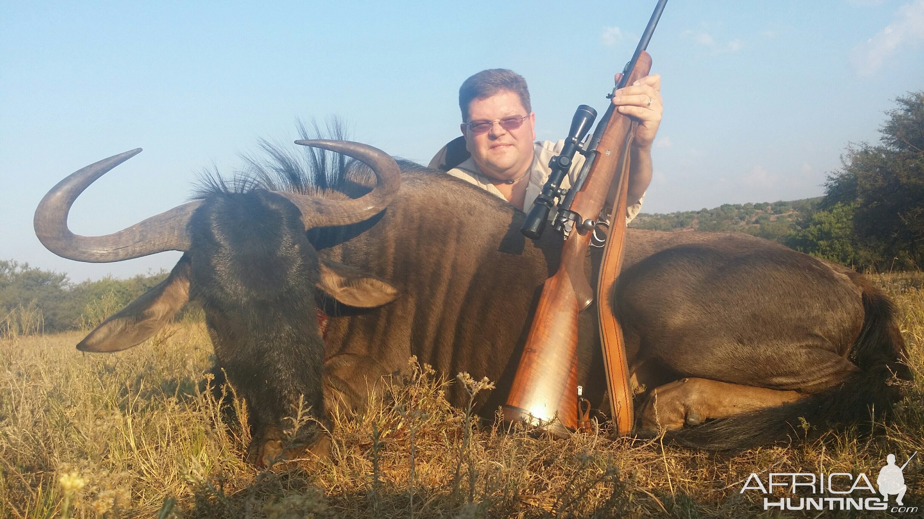 South Africa Blue Wildebeest Hunting