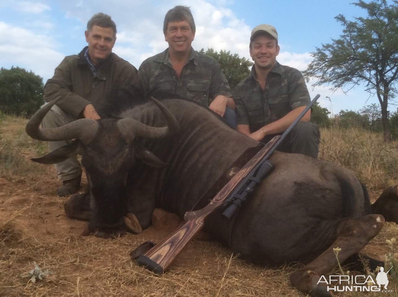 South Africa Blue Wildebeest Hunting