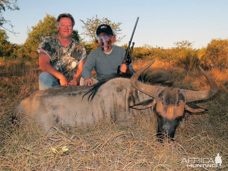 South Africa Blue Wildebeest Hunting