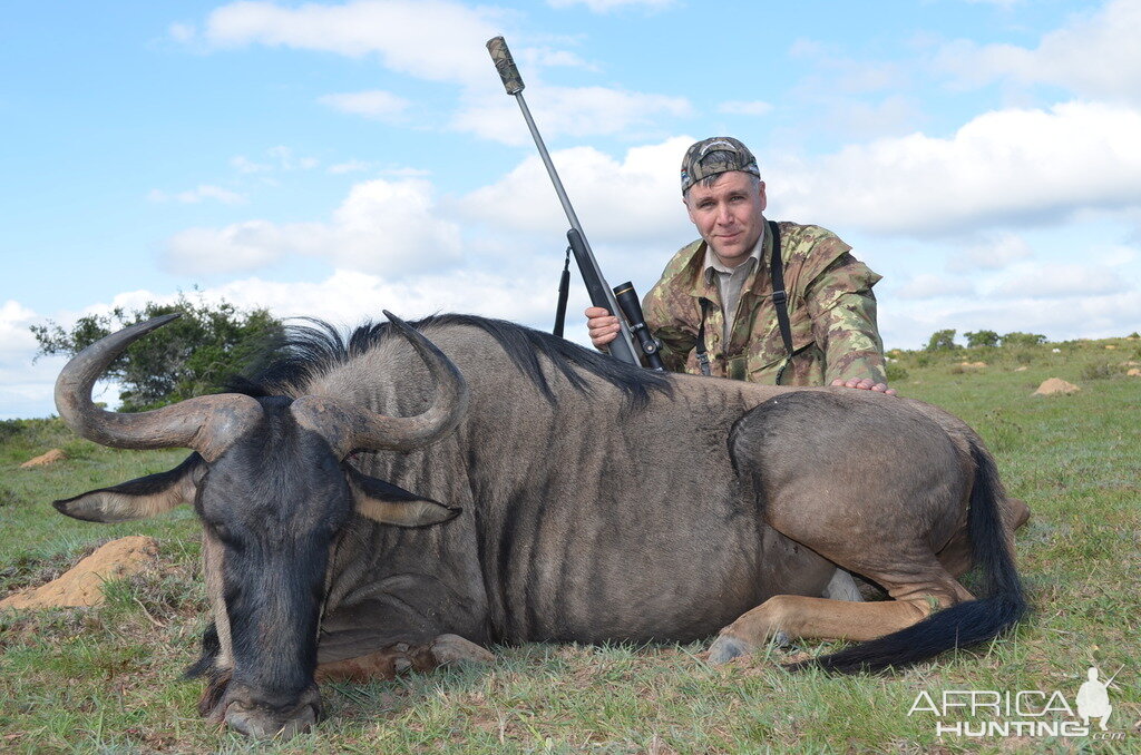 South Africa Blue Wildebeest Hunting