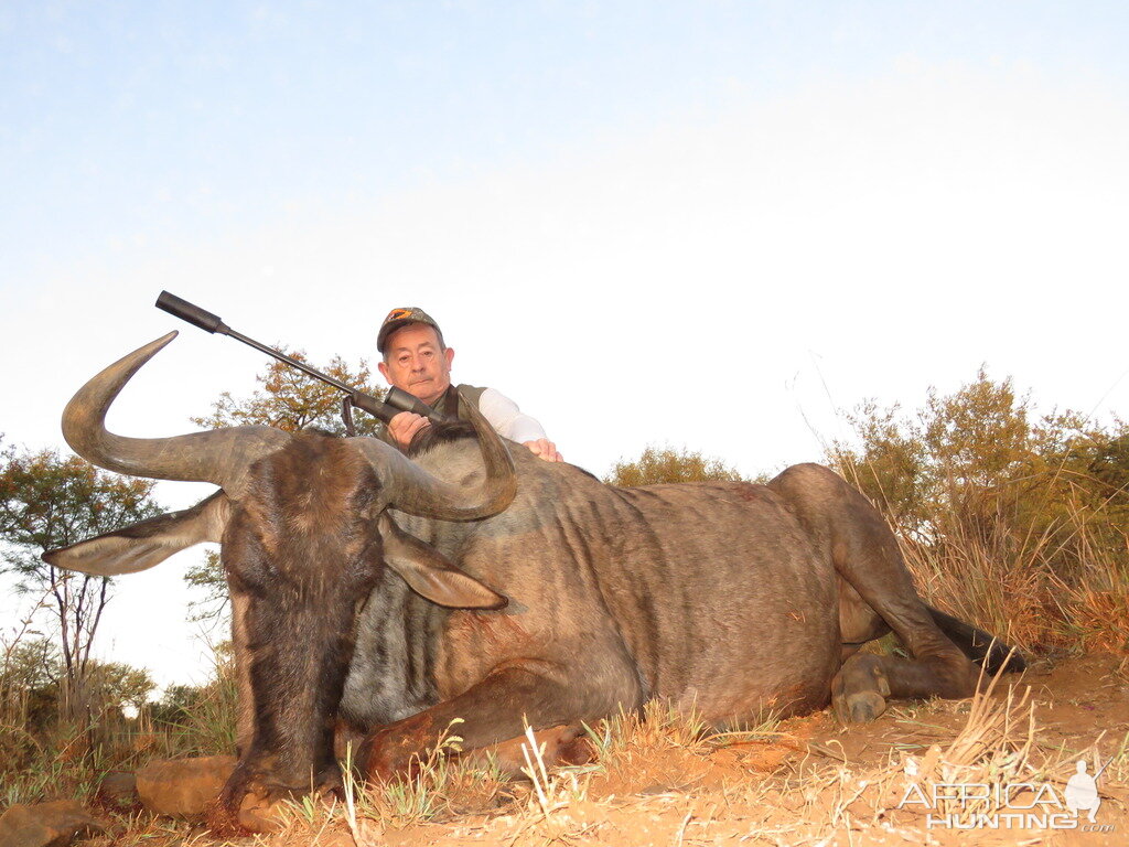 South Africa Blue Wildebeest Hunting