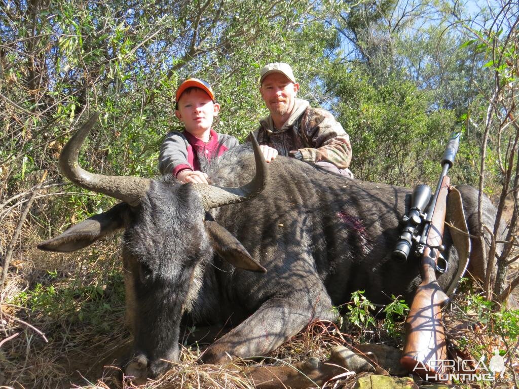 South Africa Blue Wildebeest Hunting