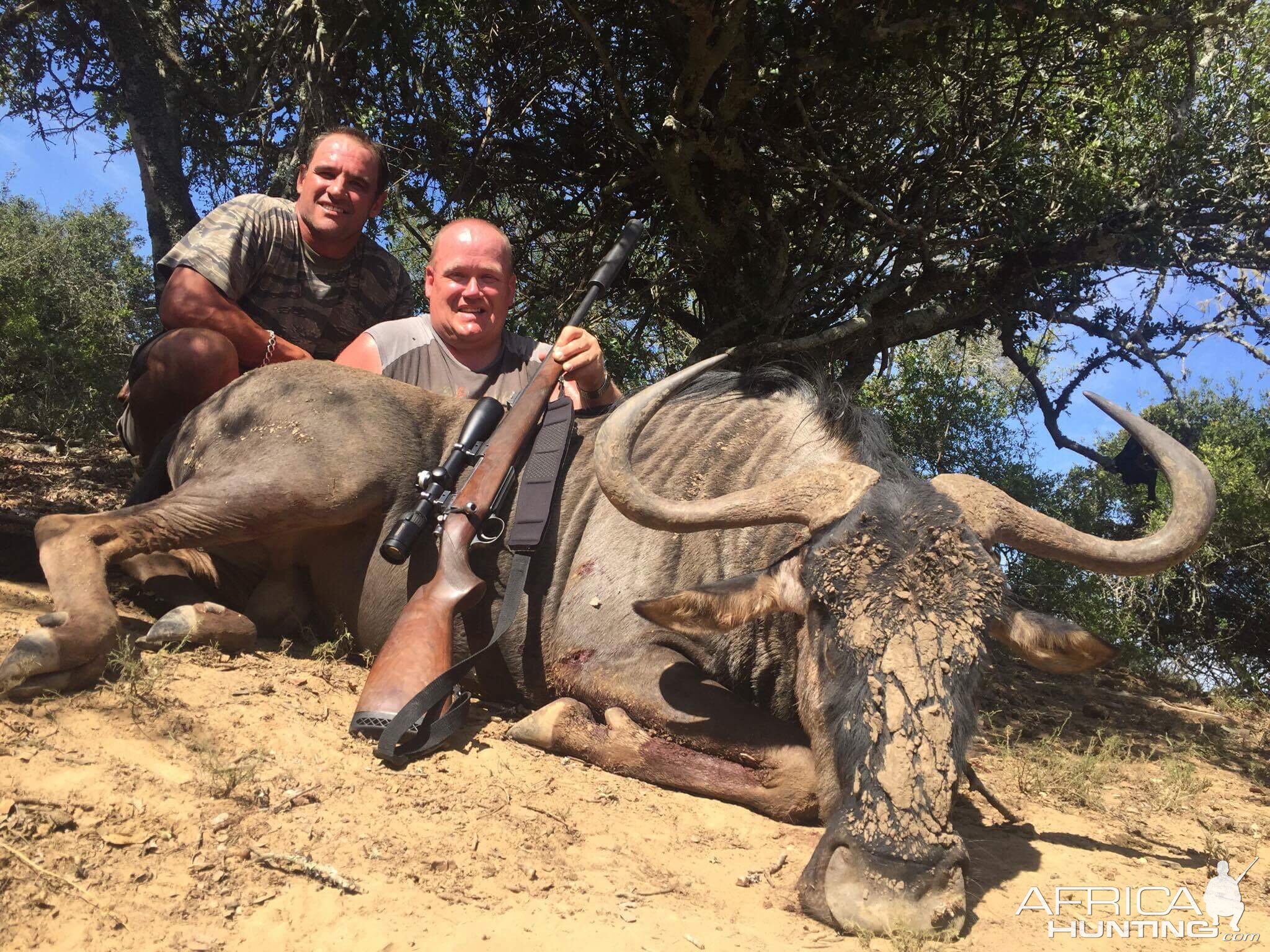 South Africa Blue Wildebeest Hunting