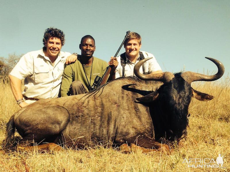 South Africa Blue Wildebeest Hunting