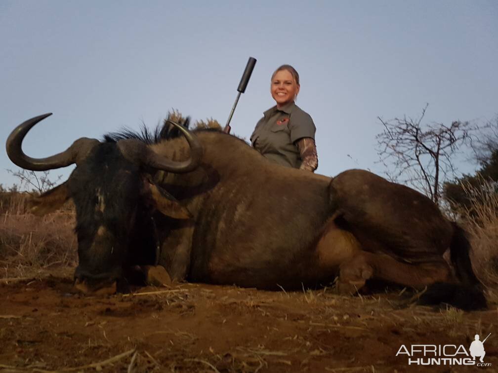 South Africa Blue Wildebeest Hunting