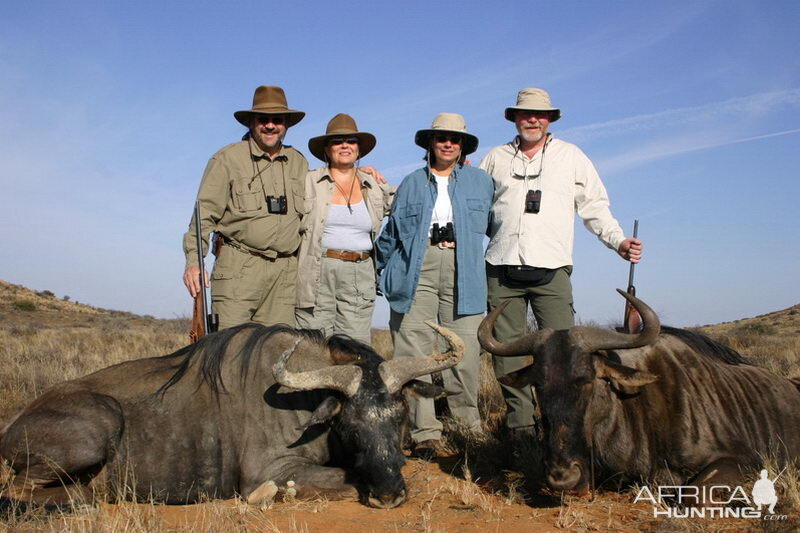 South Africa Blue Wildebeest Hunting