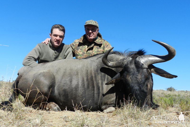 South Africa Blue Wildebeest Hunting