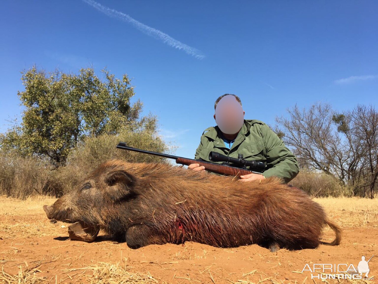 South Africa Boar Hunt