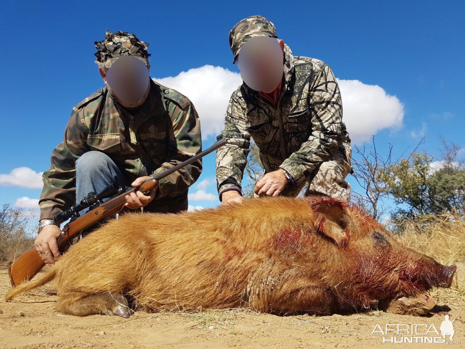 South Africa Boar Hunt