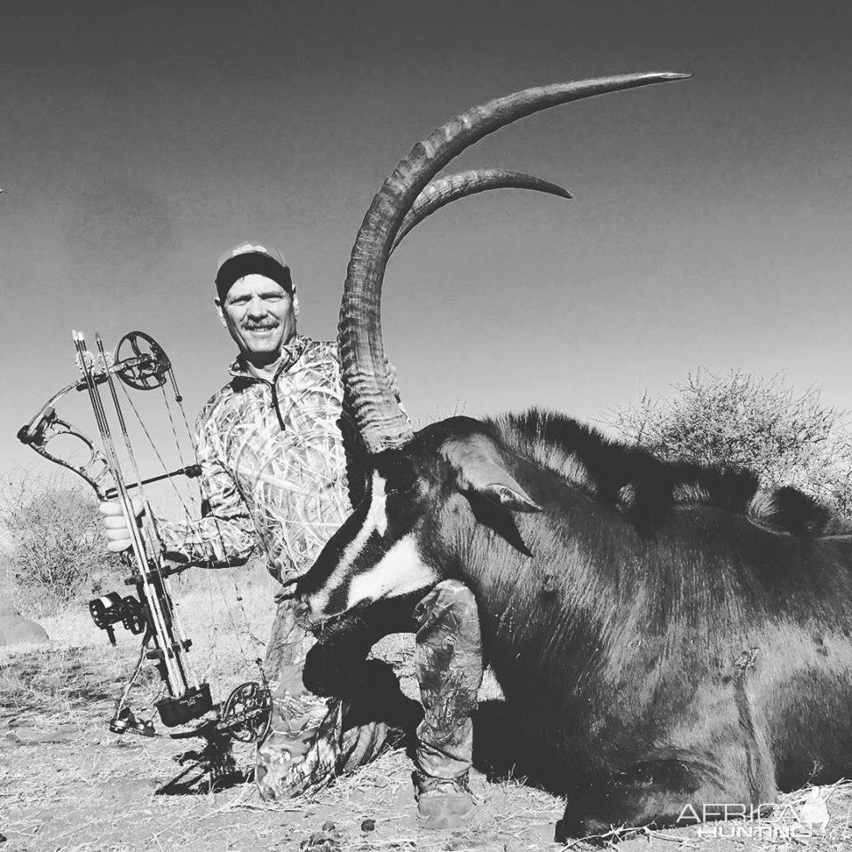 South Africa Bow Hunt 45 4/8 " Inch Sable