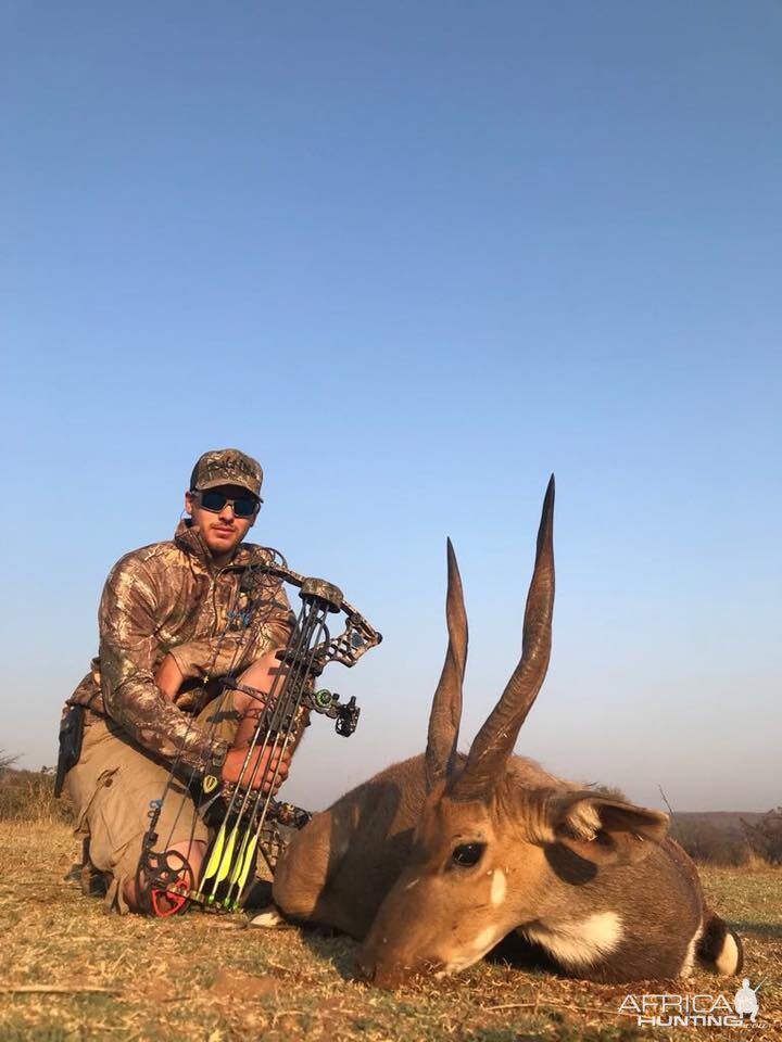 South Africa Bow Hunt Bushbuck