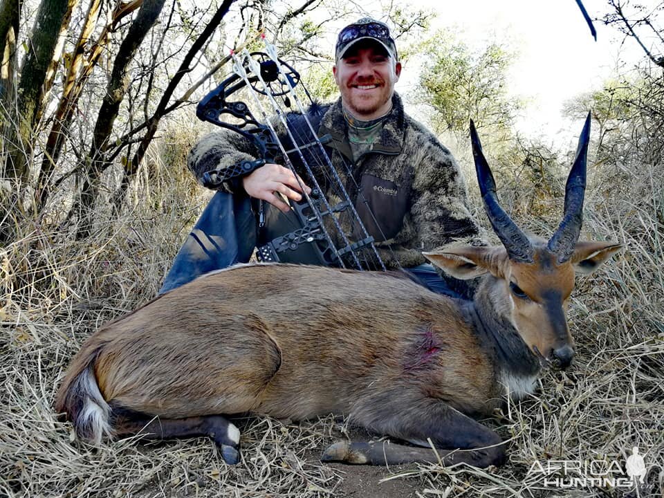 South Africa Bow Hunt Bushbuck