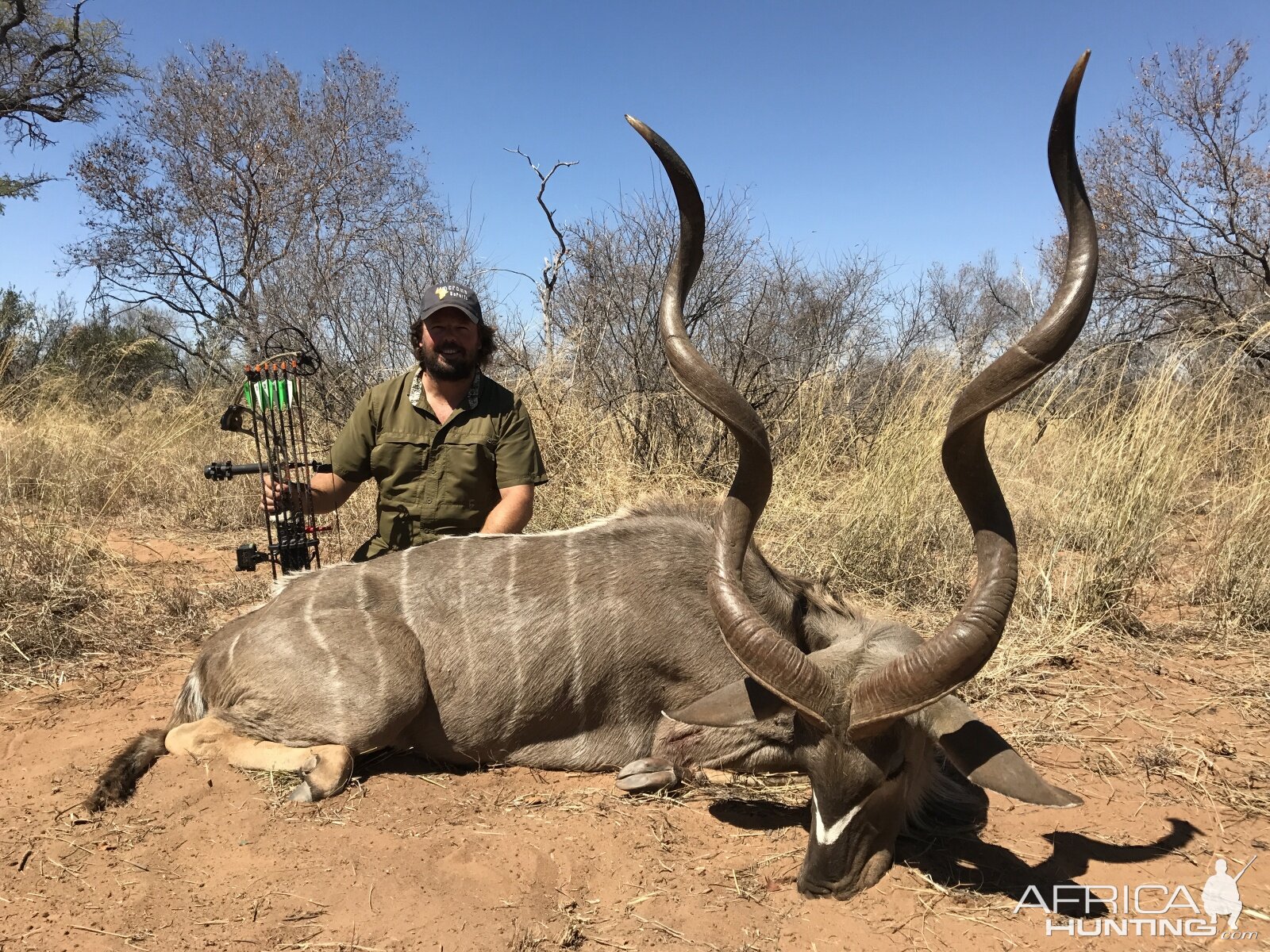 South Africa Bow Hunt Kudu Kudu