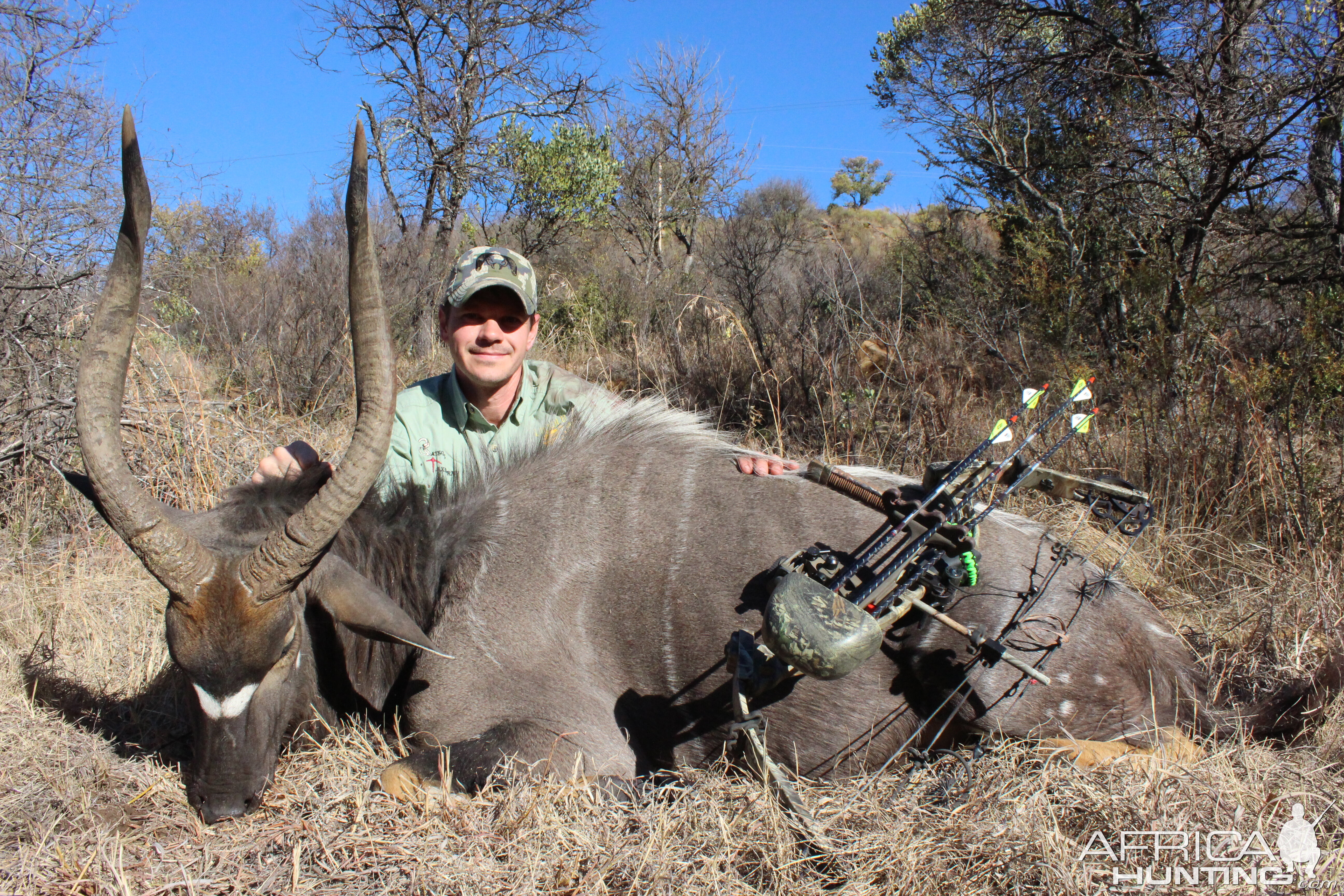 South Africa Bow Hunt Nyala