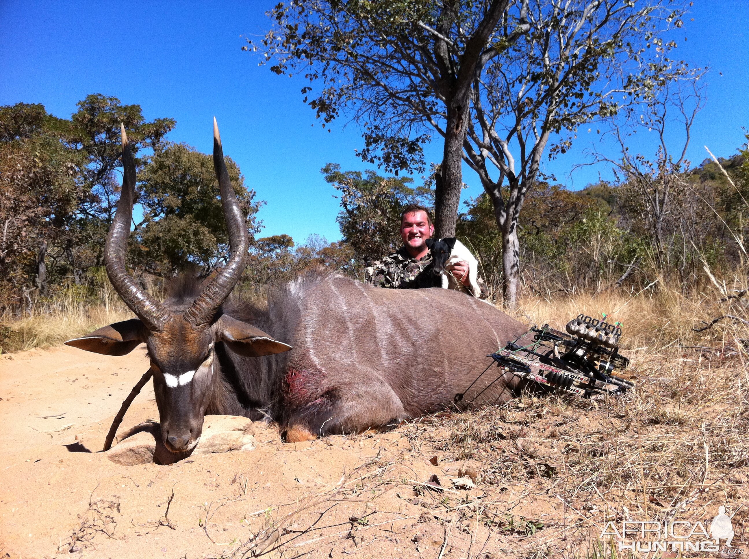 South Africa Bow Hunt Nyala