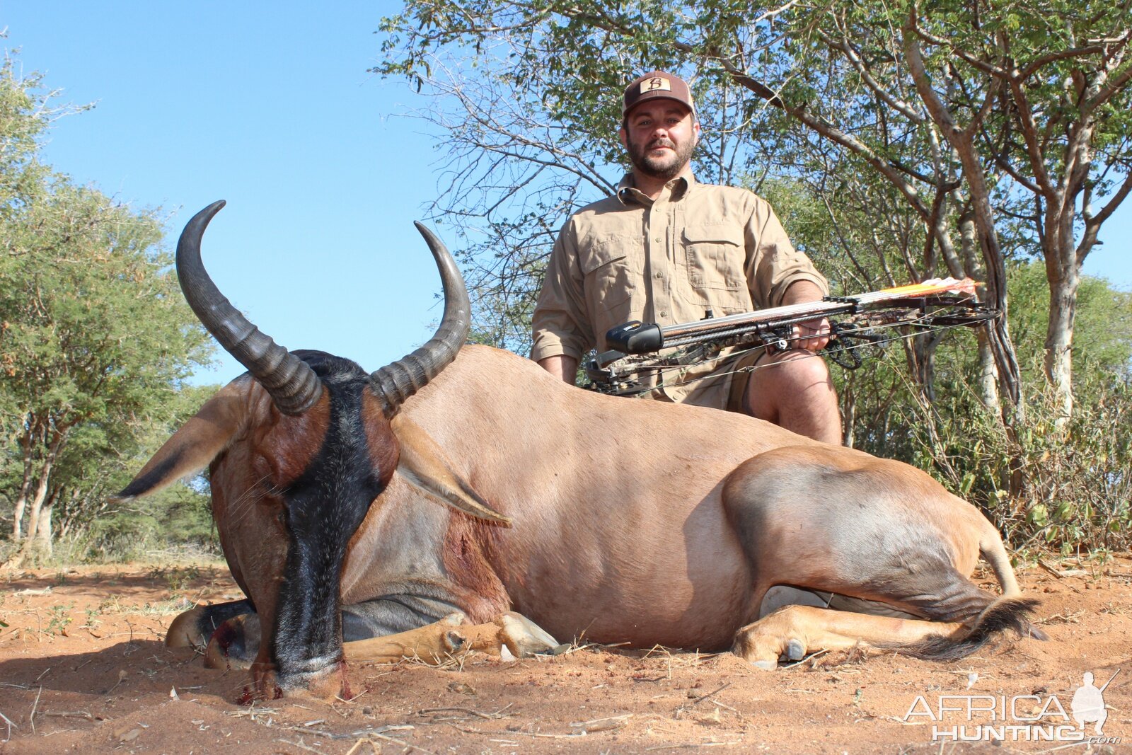 South Africa Bow Hunt Tsessebe