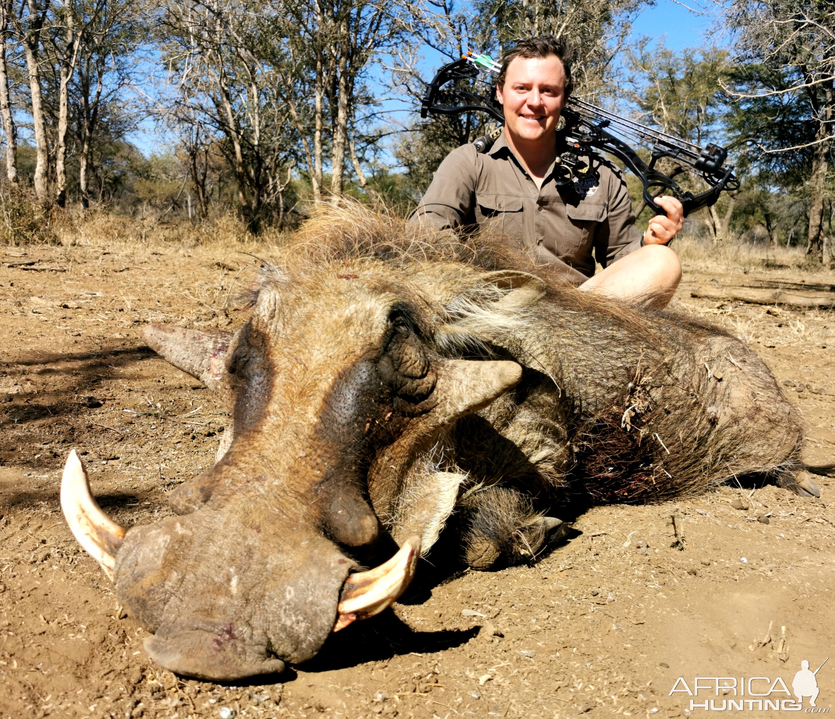 South Africa Bow Hunt Warthog