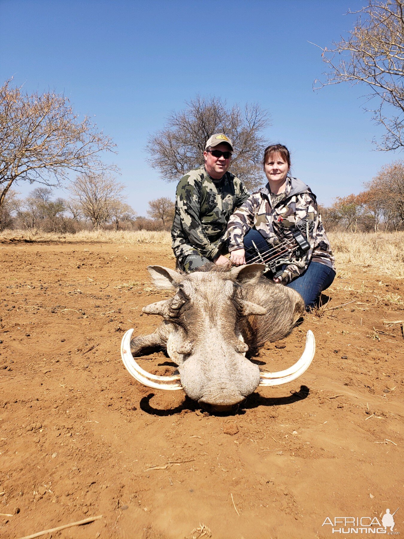 South Africa Bow Hunt Warthog | AfricaHunting.com