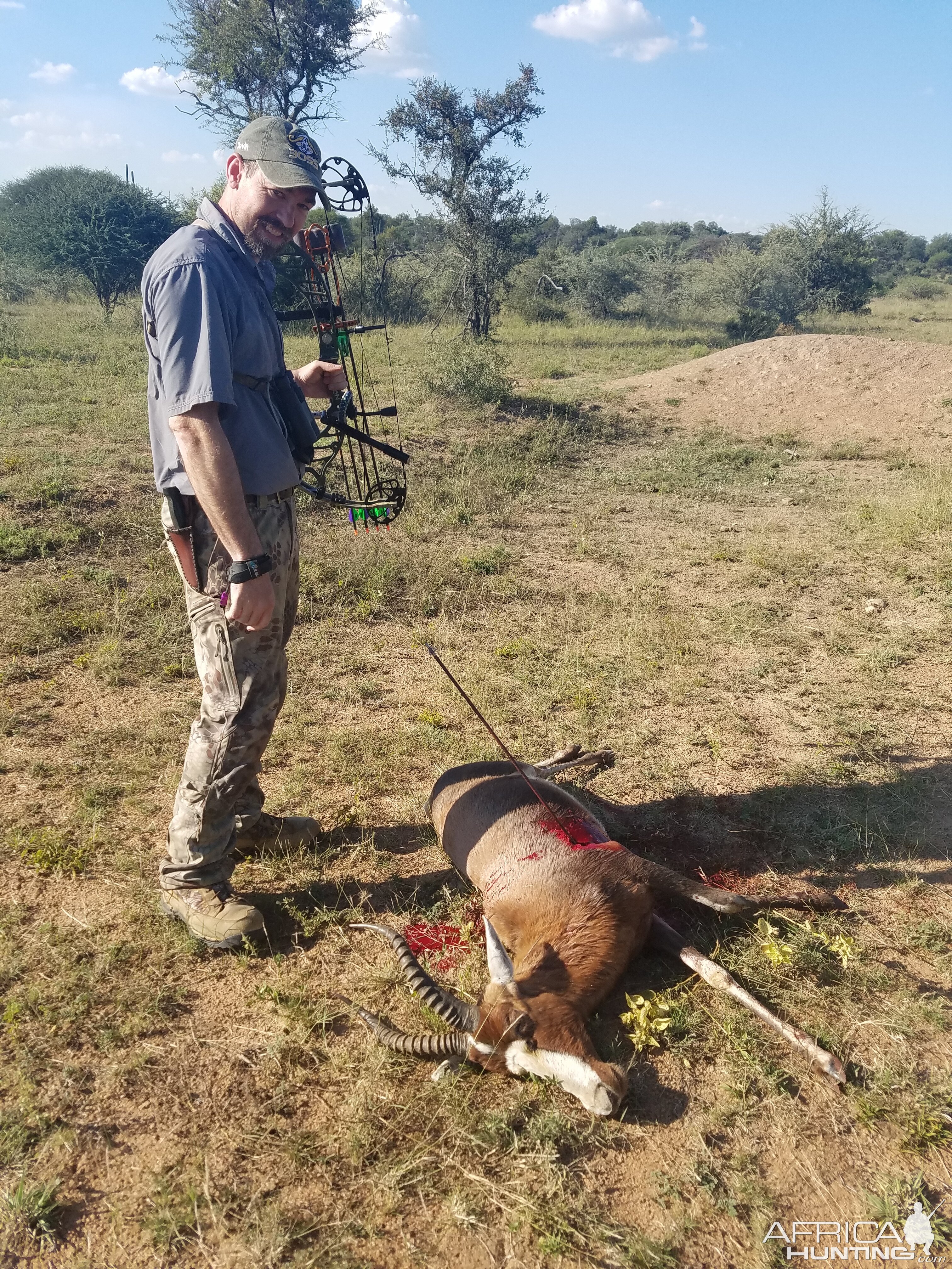 South Africa Bow Hunting Blesbok