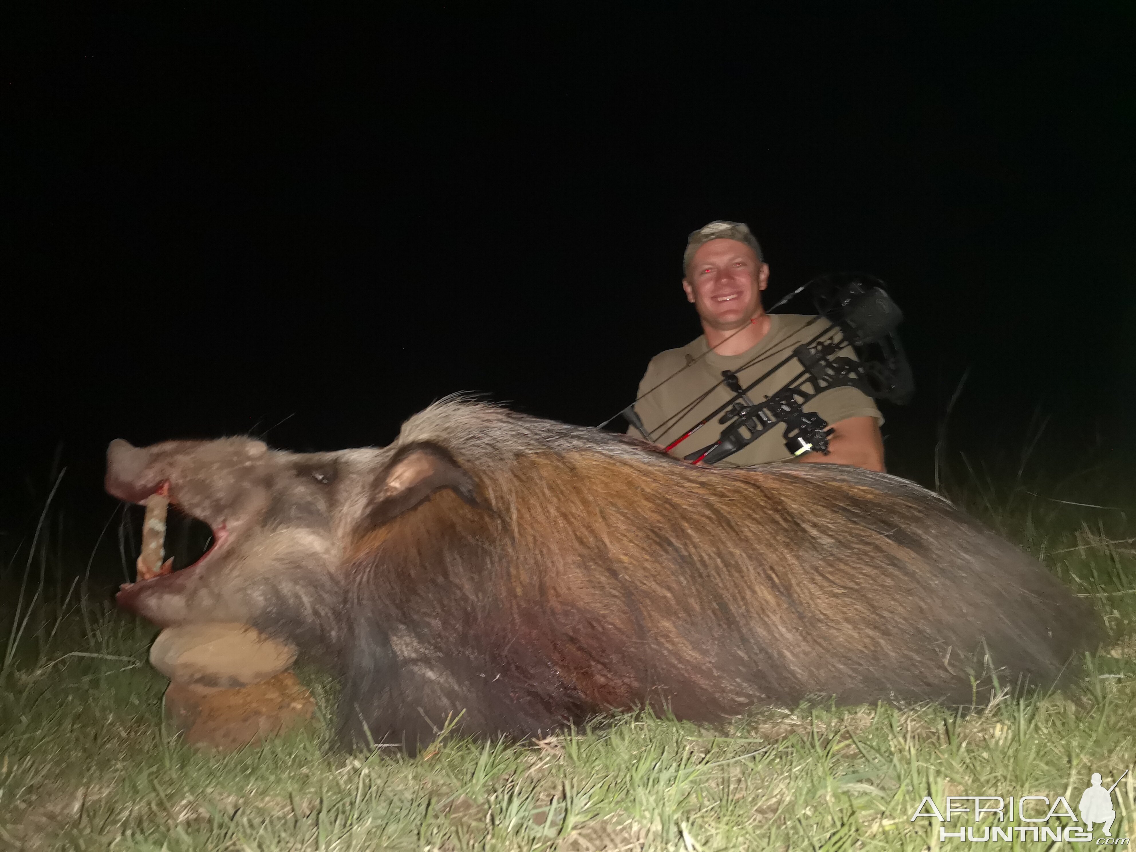 South Africa Bow Hunting Bushpig