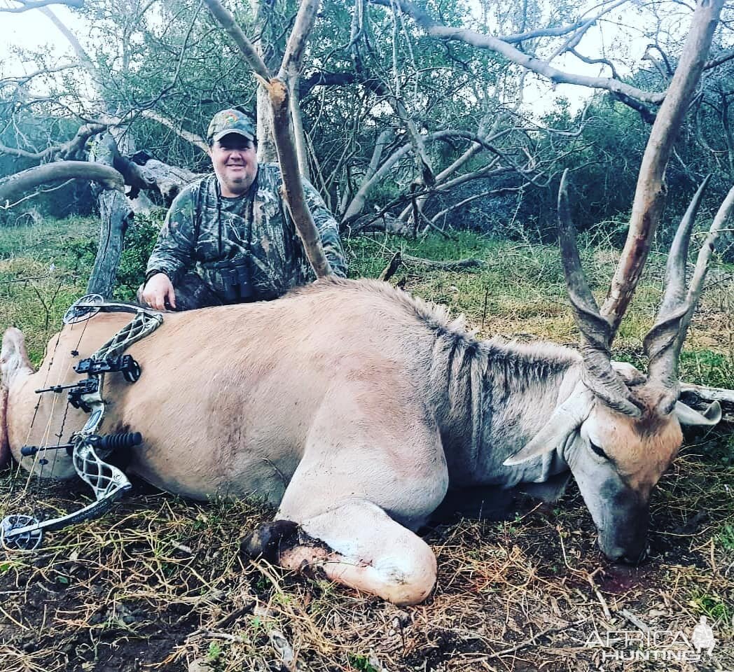 South Africa Bow Hunting Eland