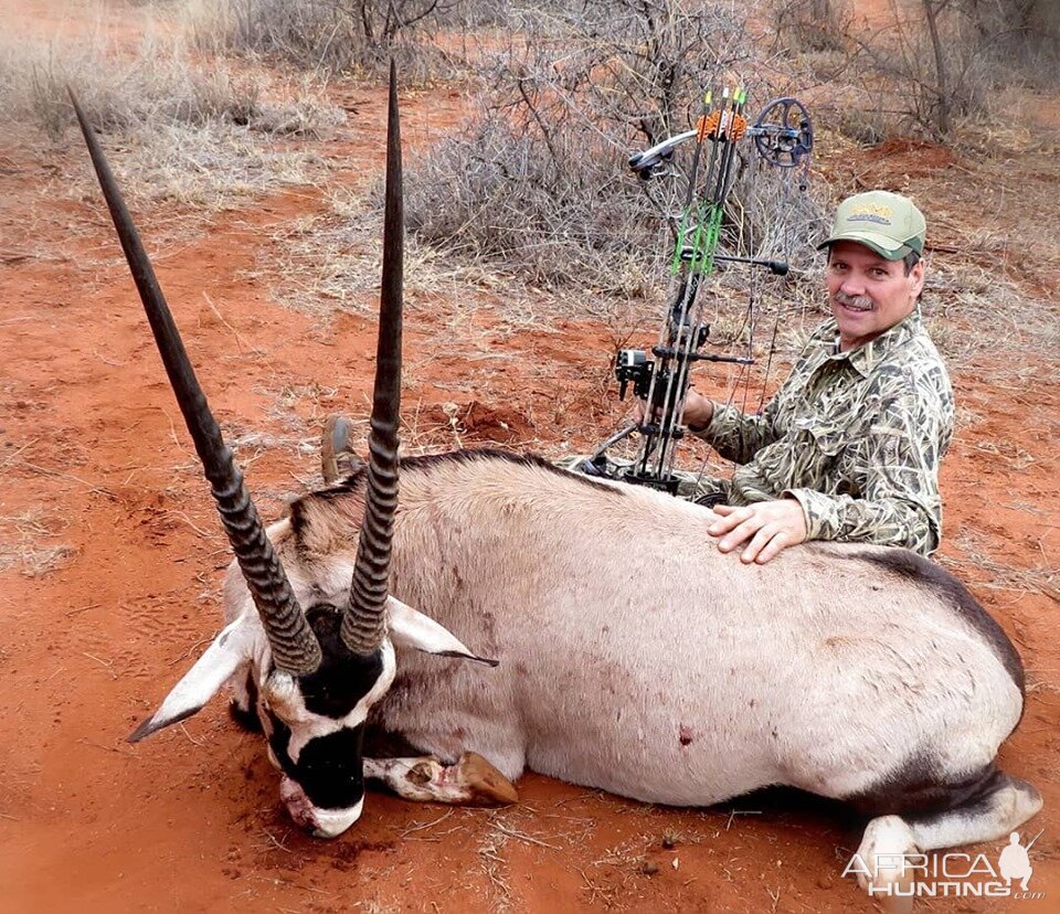 South Africa Bow Hunting Gemsbok