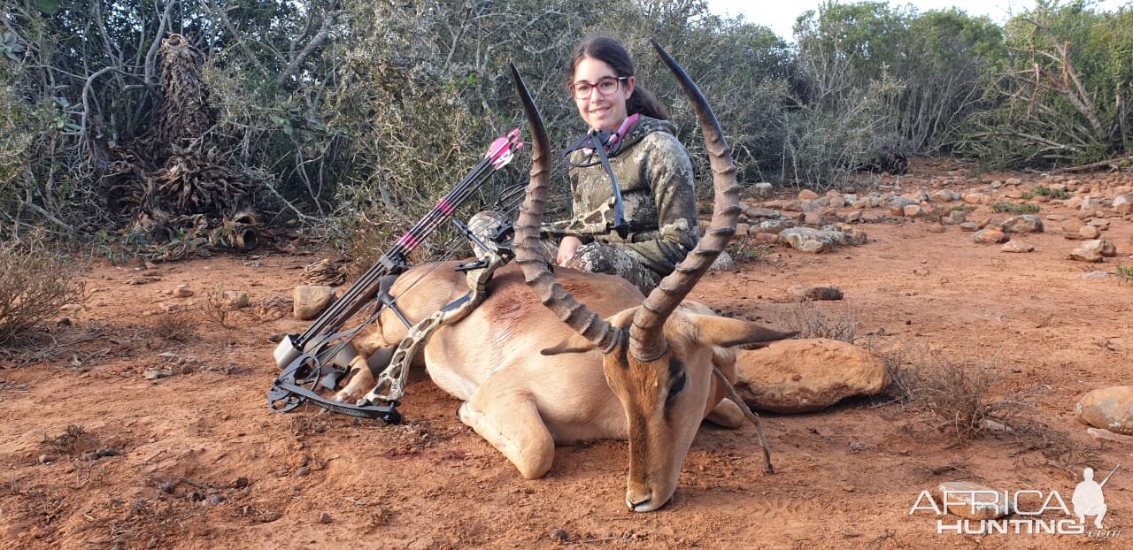 South Africa Bow Hunting Impala