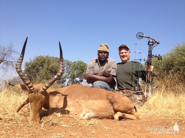 South Africa Bow Hunting Impala