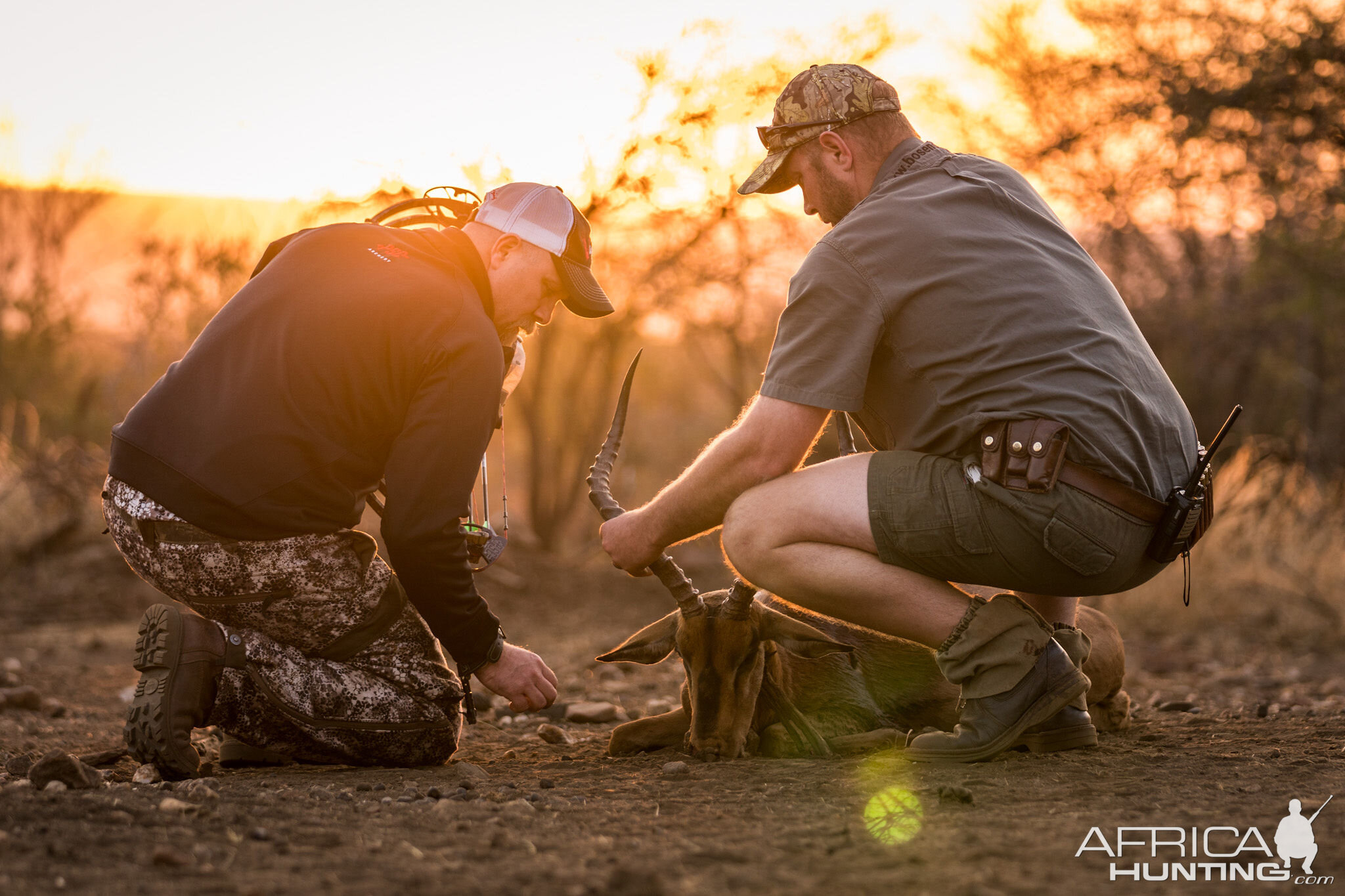 South Africa Bow Hunting Impala