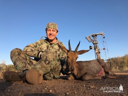 South Africa Bow Hunting Mountain Reedbuck