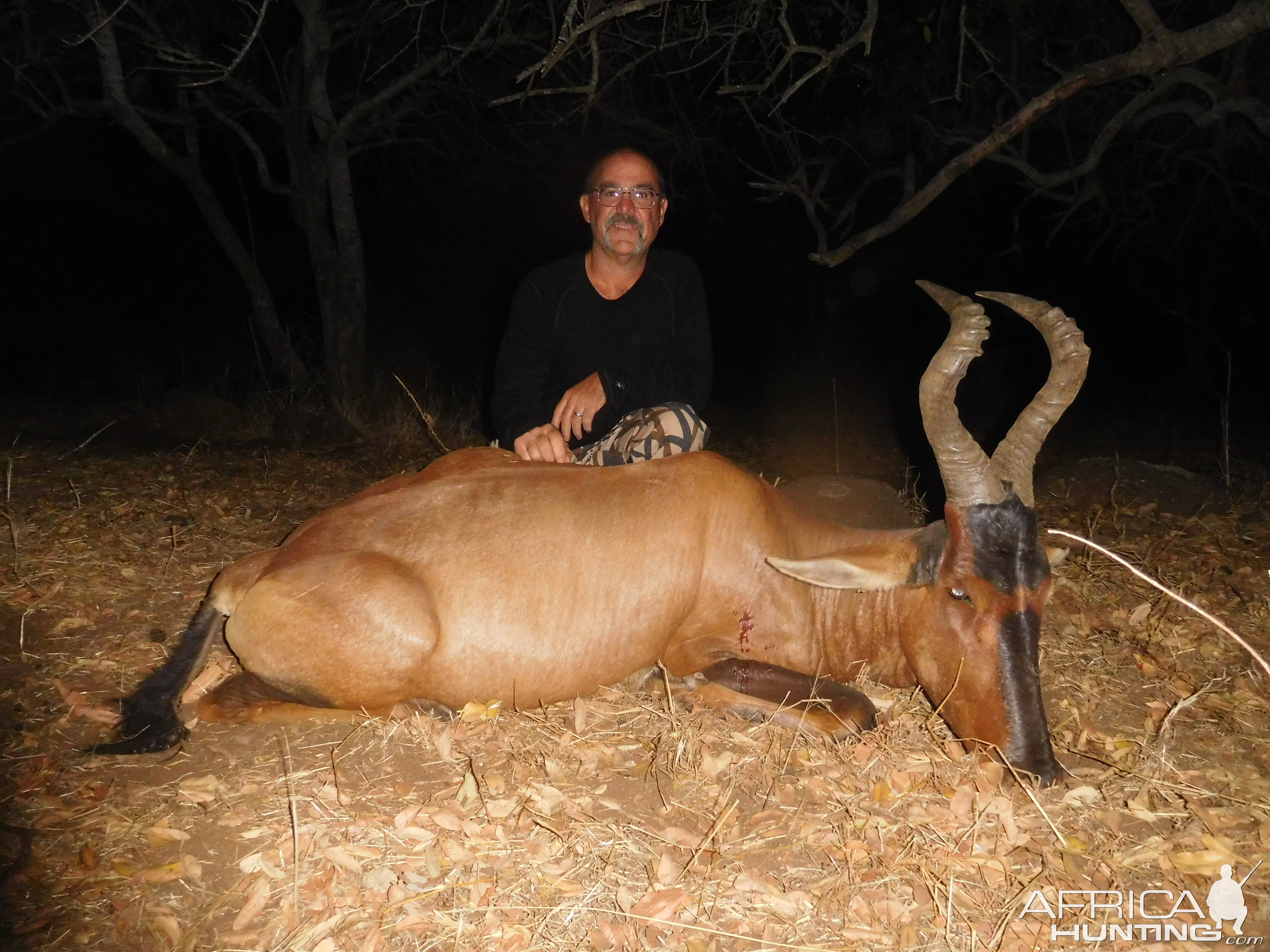 South Africa Bow Hunting Red HArtebeest