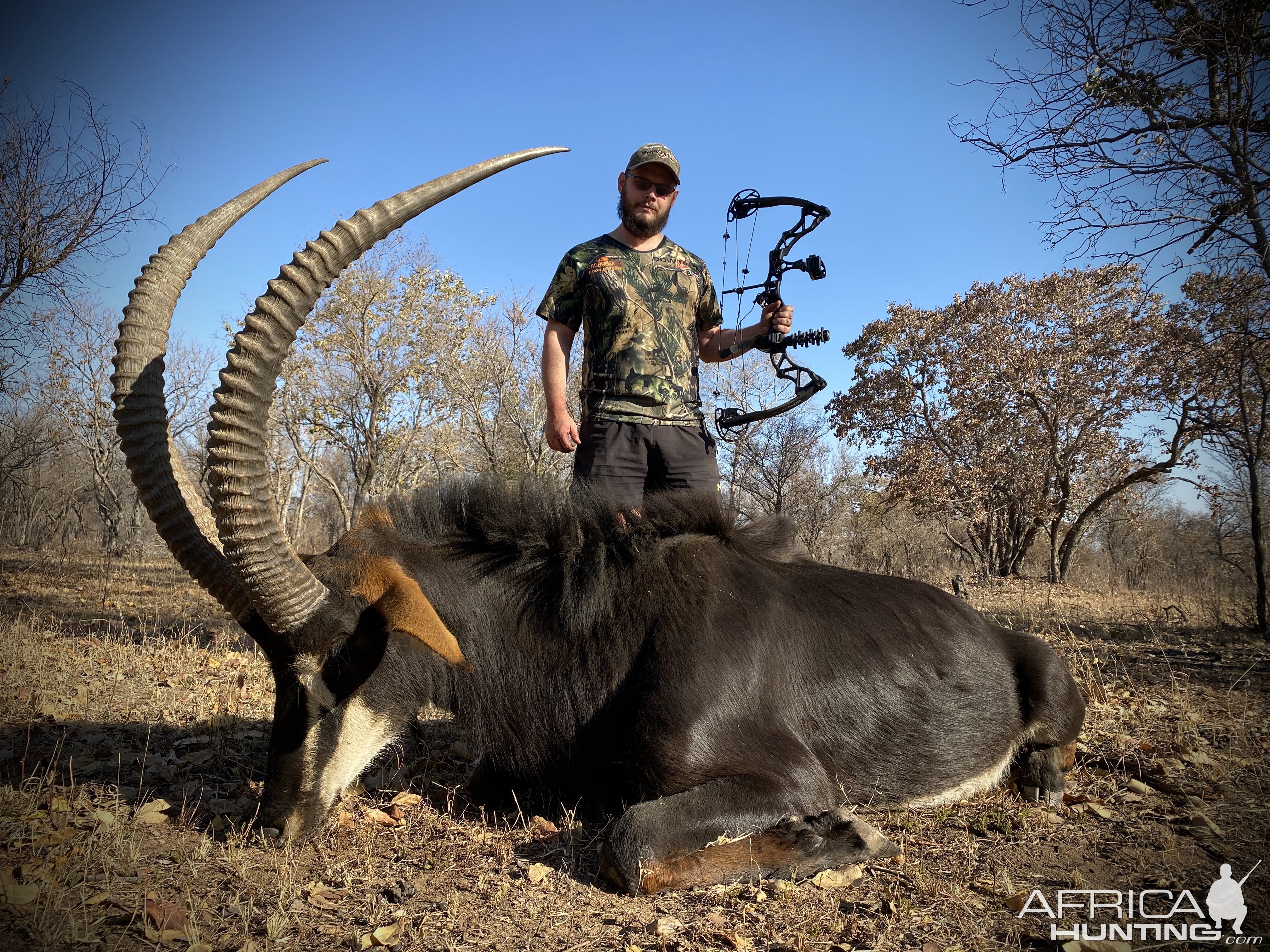 South Africa Bow Hunting Sable