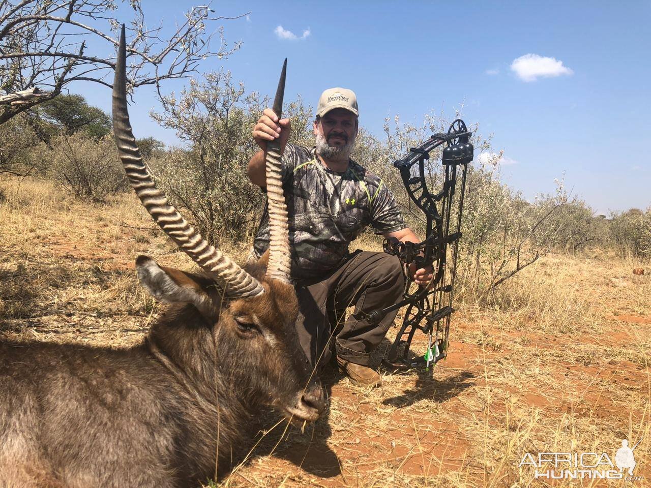 South Africa Bow Hunting Waterbuck