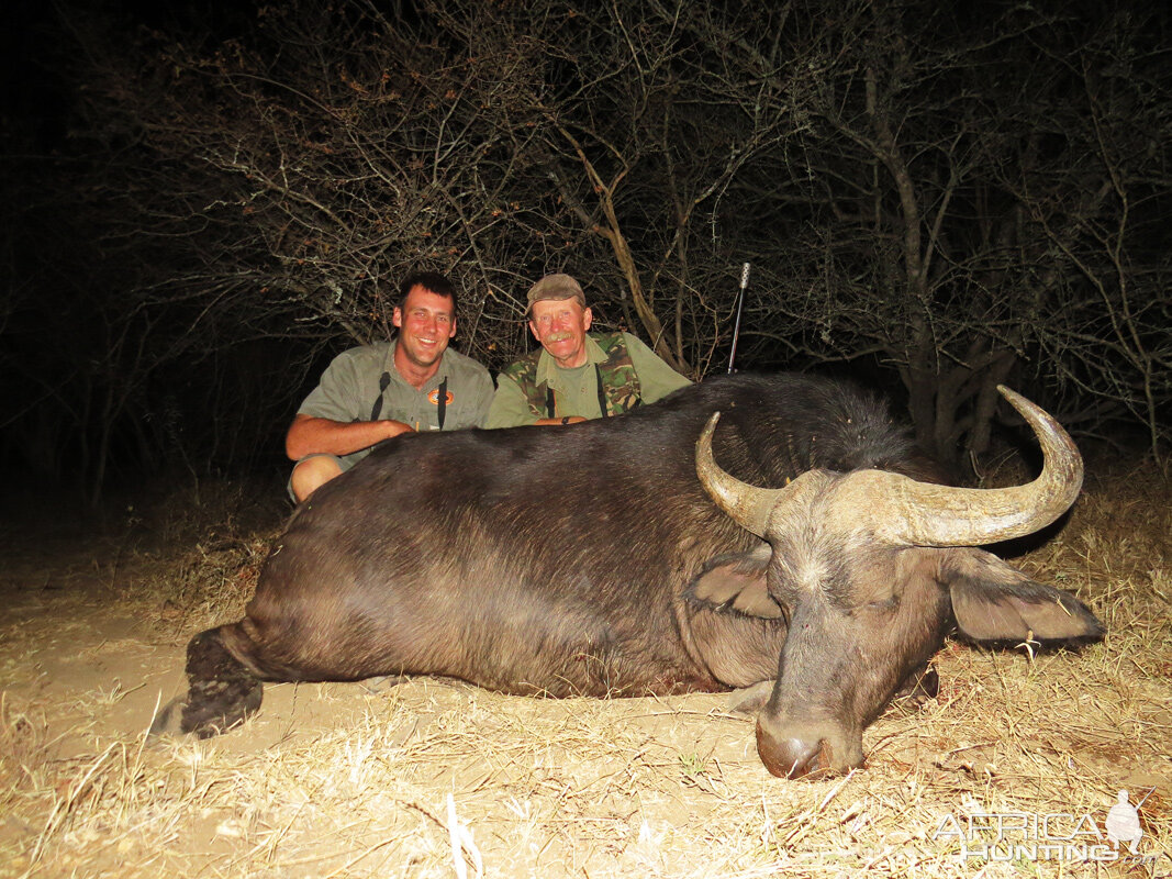 South Africa Buffalo Cow Hunting