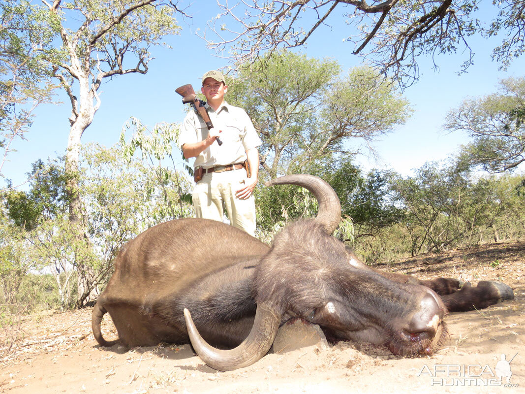 South Africa Buffalo Cow Hunting