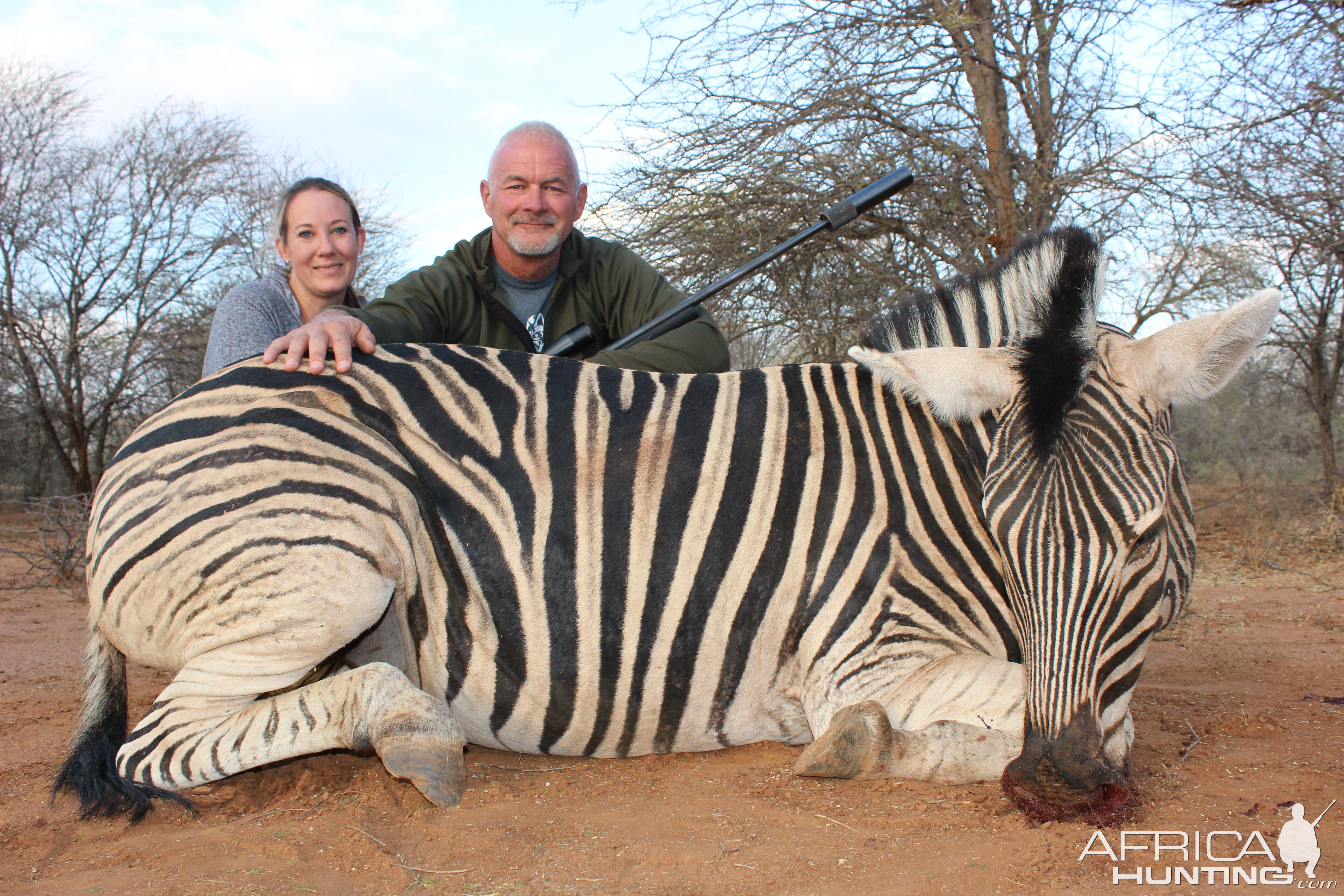 South Africa Burchell's Plain Zebra Bow Hunting