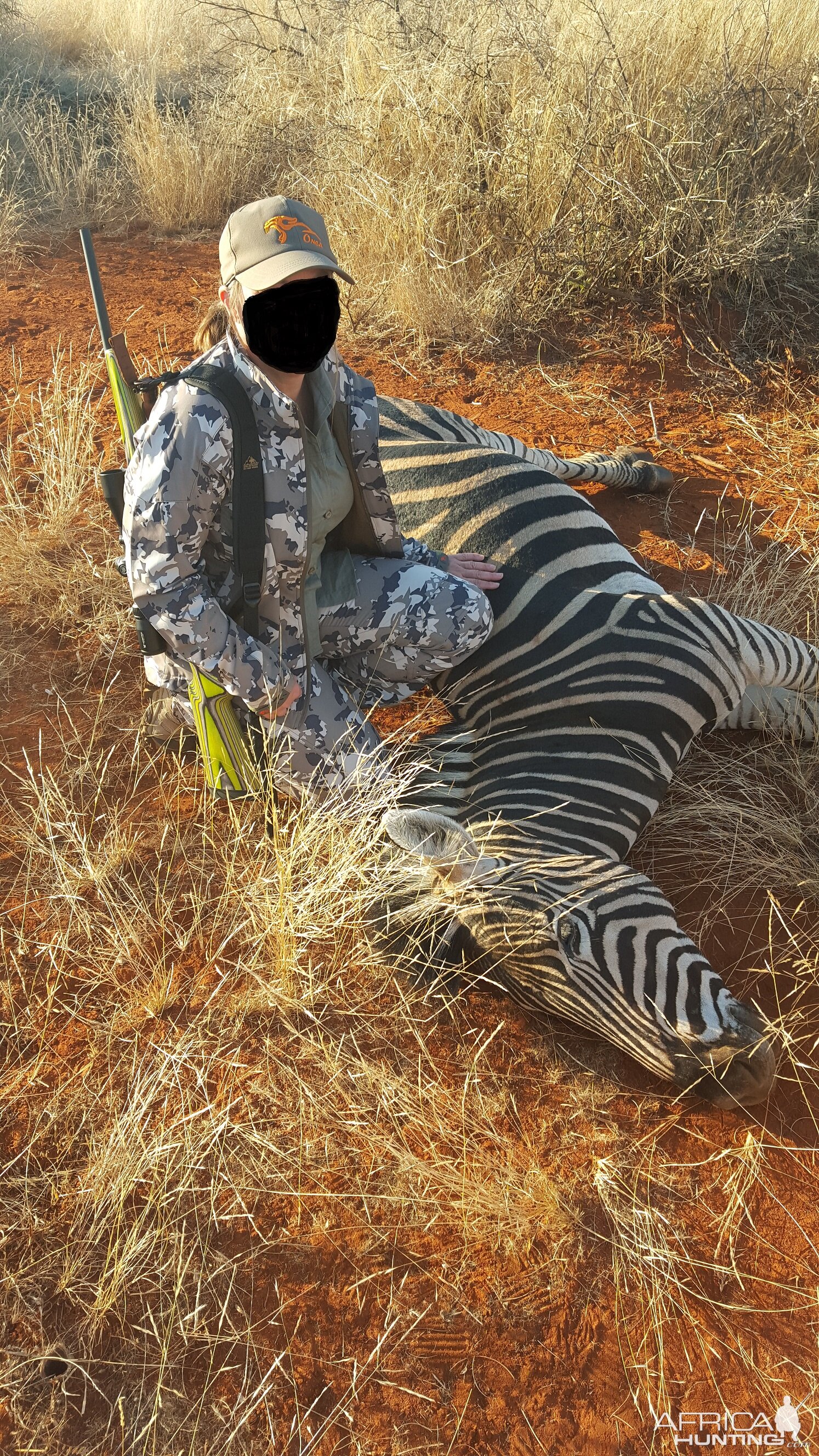 South Africa Burchell's Plain Zebra Hunt