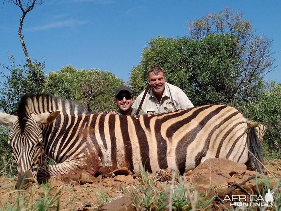 South Africa Burchell's Plain Zebra Hunt