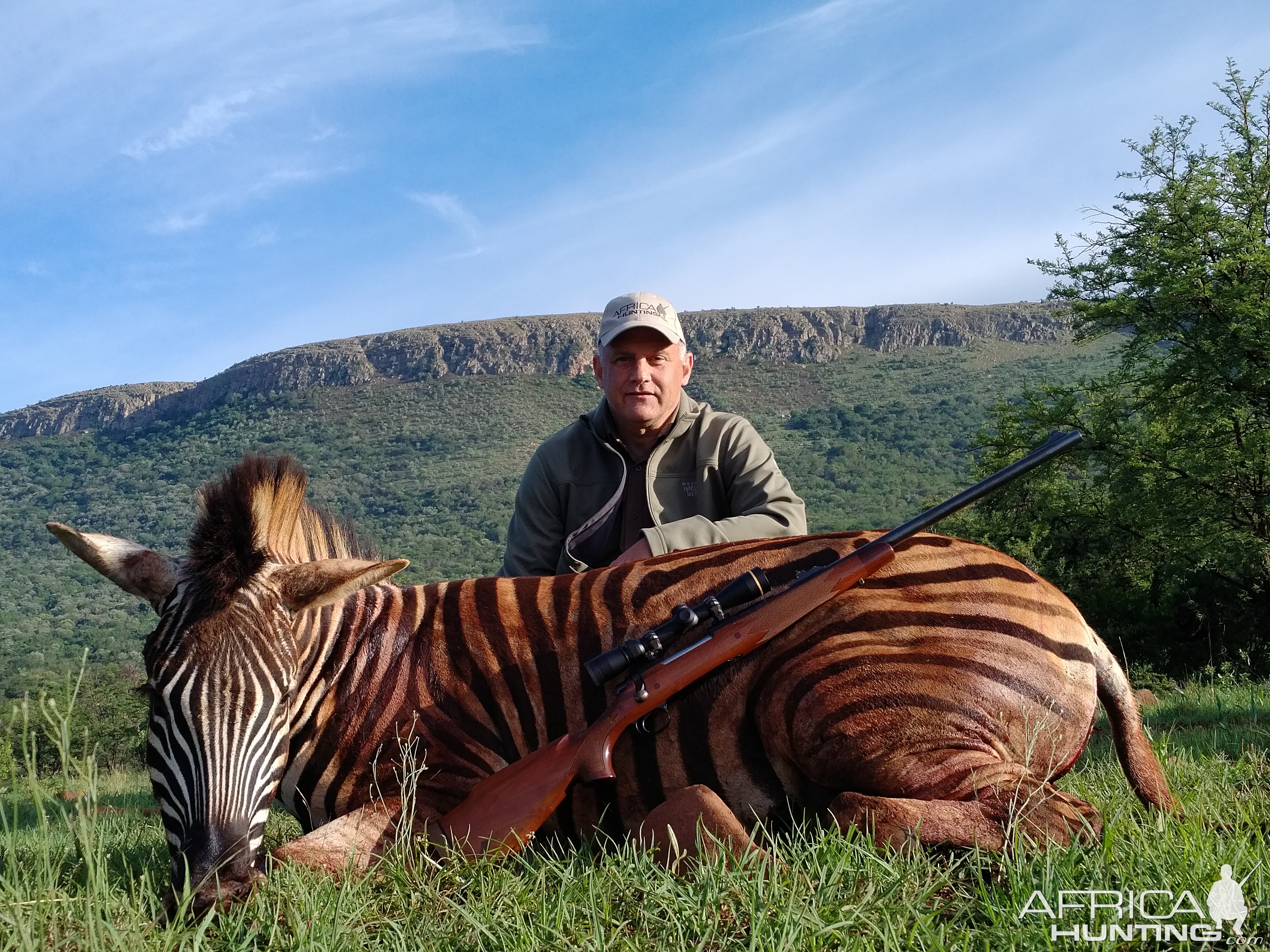 South Africa Burchell's Plain Zebra Hunt