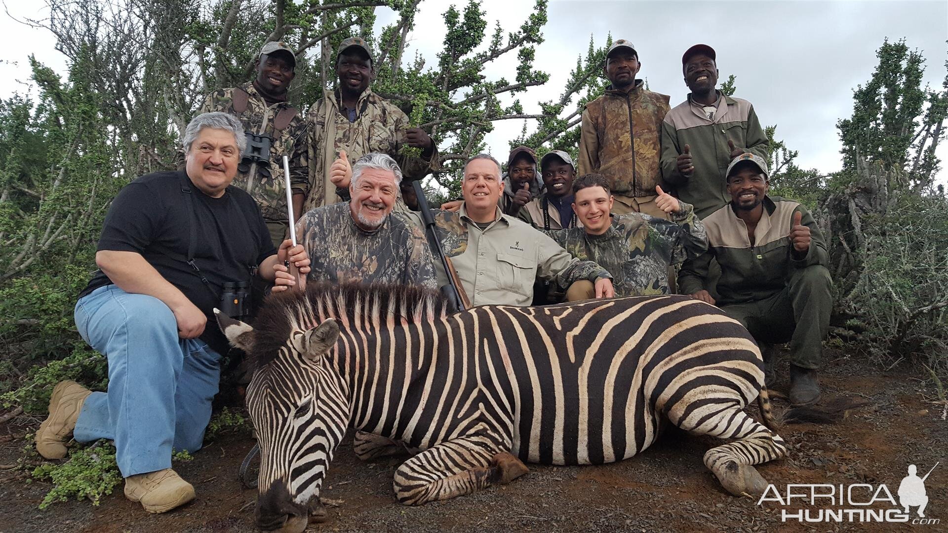 South Africa Burchell's Plain Zebra Hunt