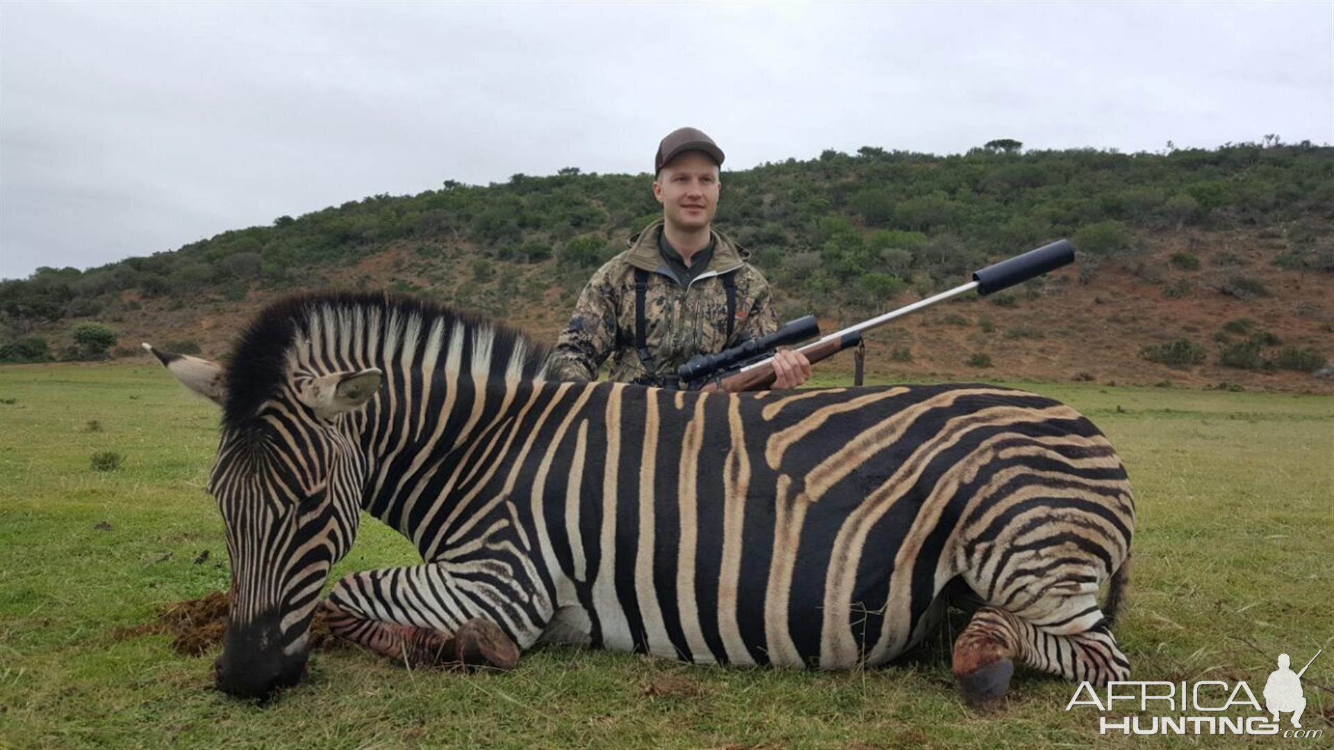 South Africa Burchell's Plain Zebra Hunt