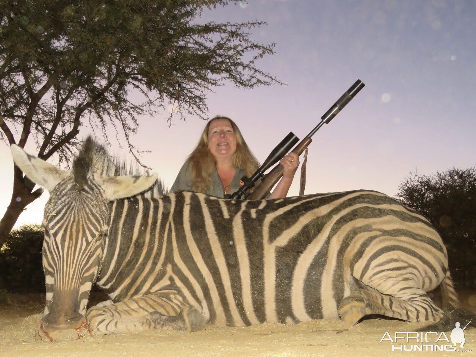 South Africa Burchell's Plain Zebra Hunting