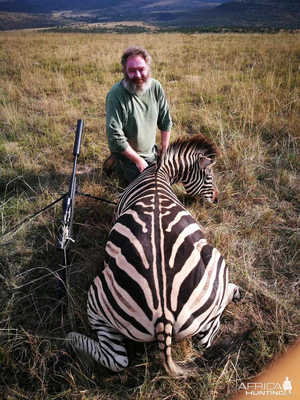 South Africa Burchell's Zebra Hunt