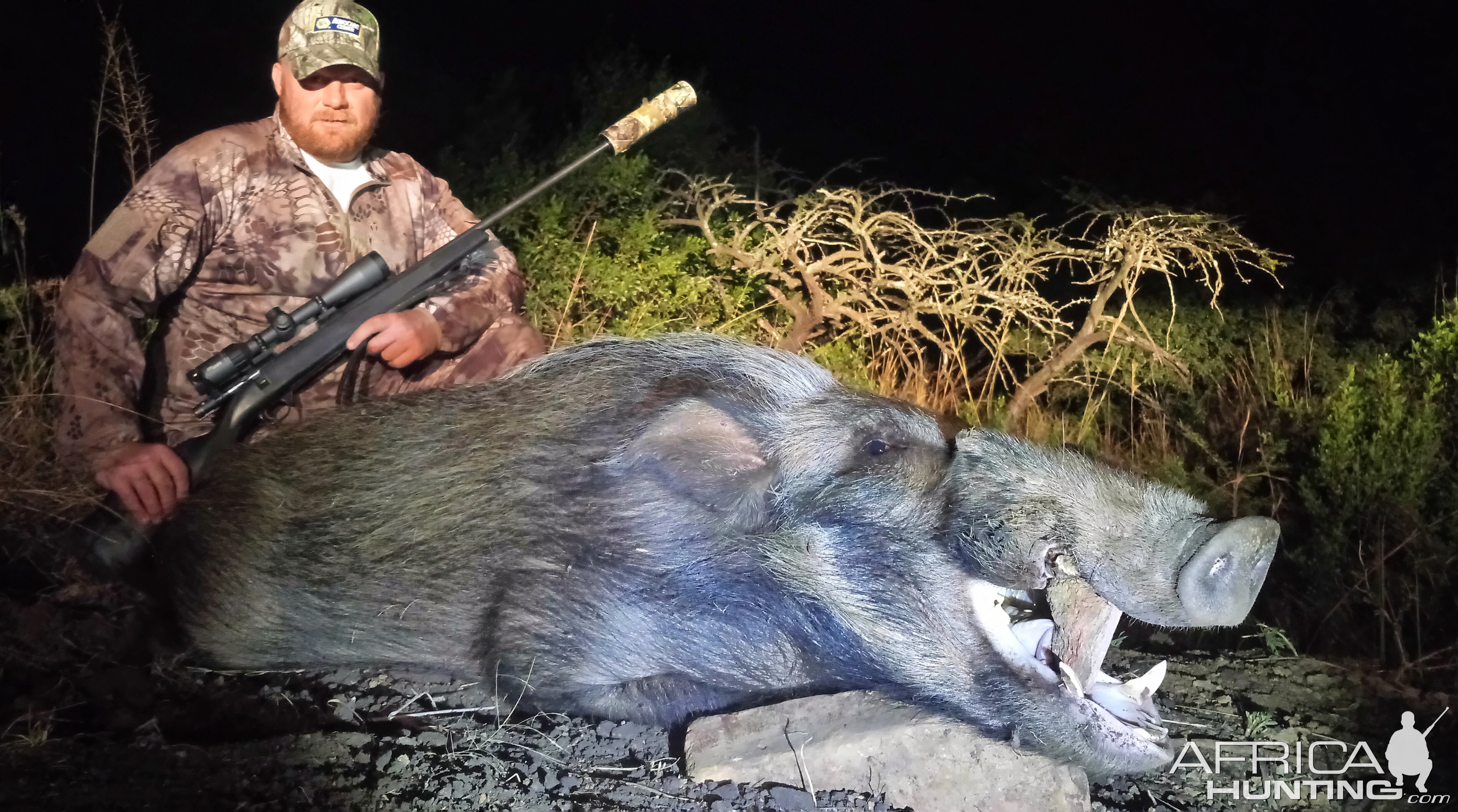 South Africa Bushpig Hunt